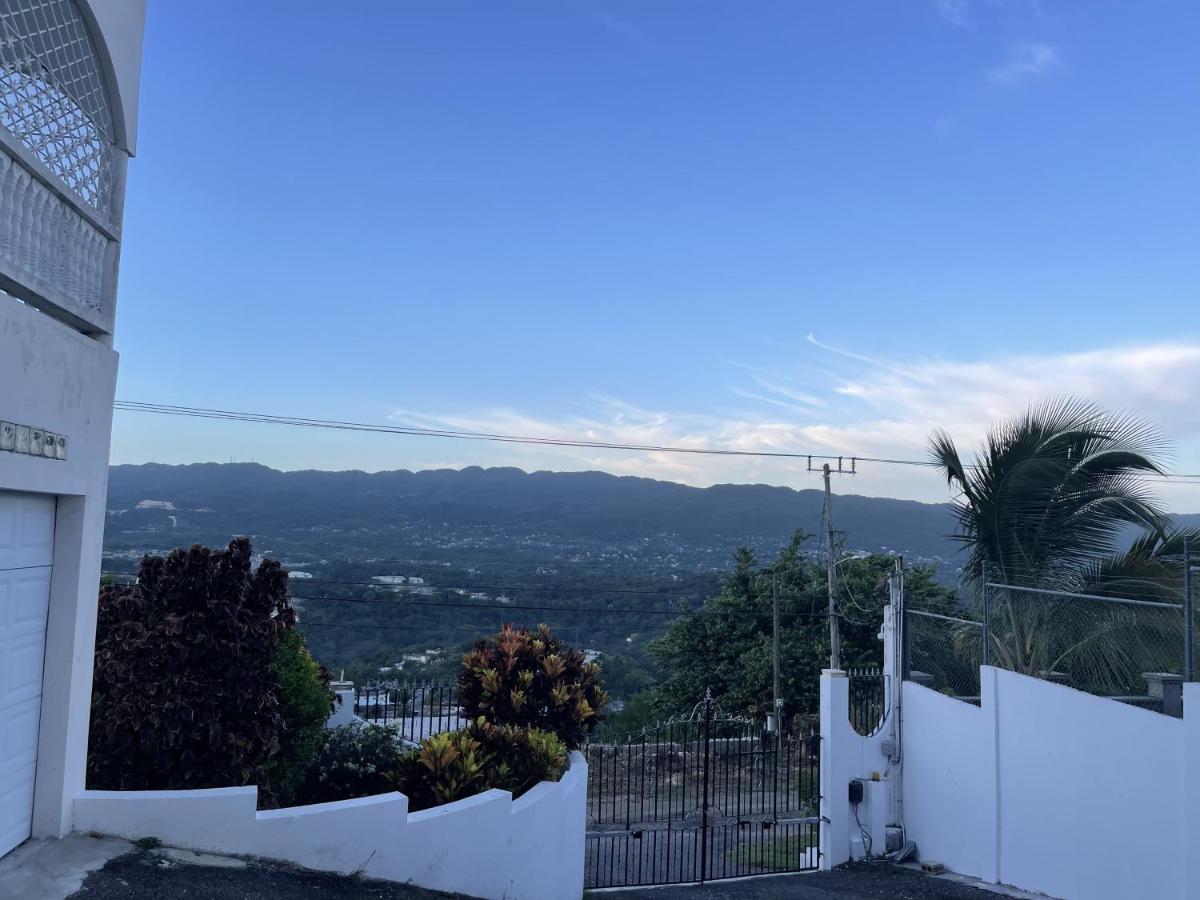 Skyline Suites, Queen, Ocean views condo - Housity