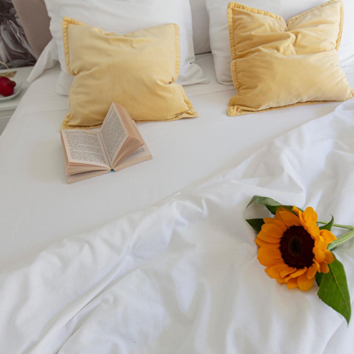 Veracruz Boutique Puerta del Sol - Housity