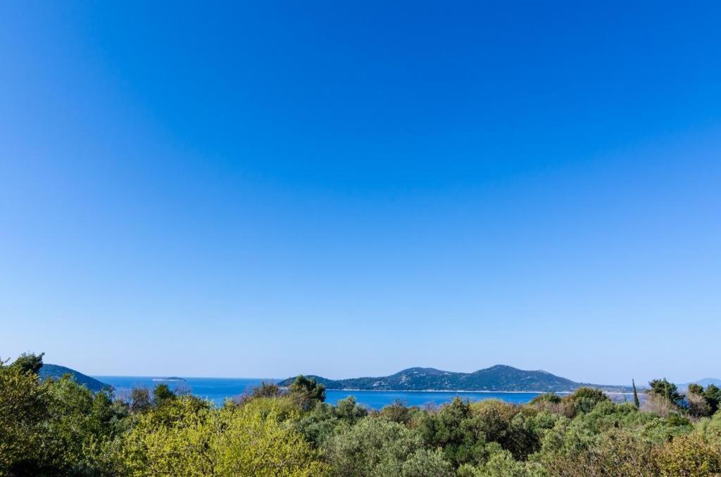 Apartment Lula - Housity