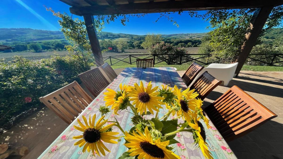 Todi By The PoolExc PoolWalk To Todi 5 KmsRestaurant 05 Kms Villa sleeps - Housity