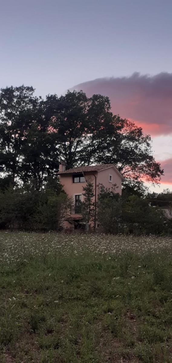 Il Casaletto nel bosco - Housity