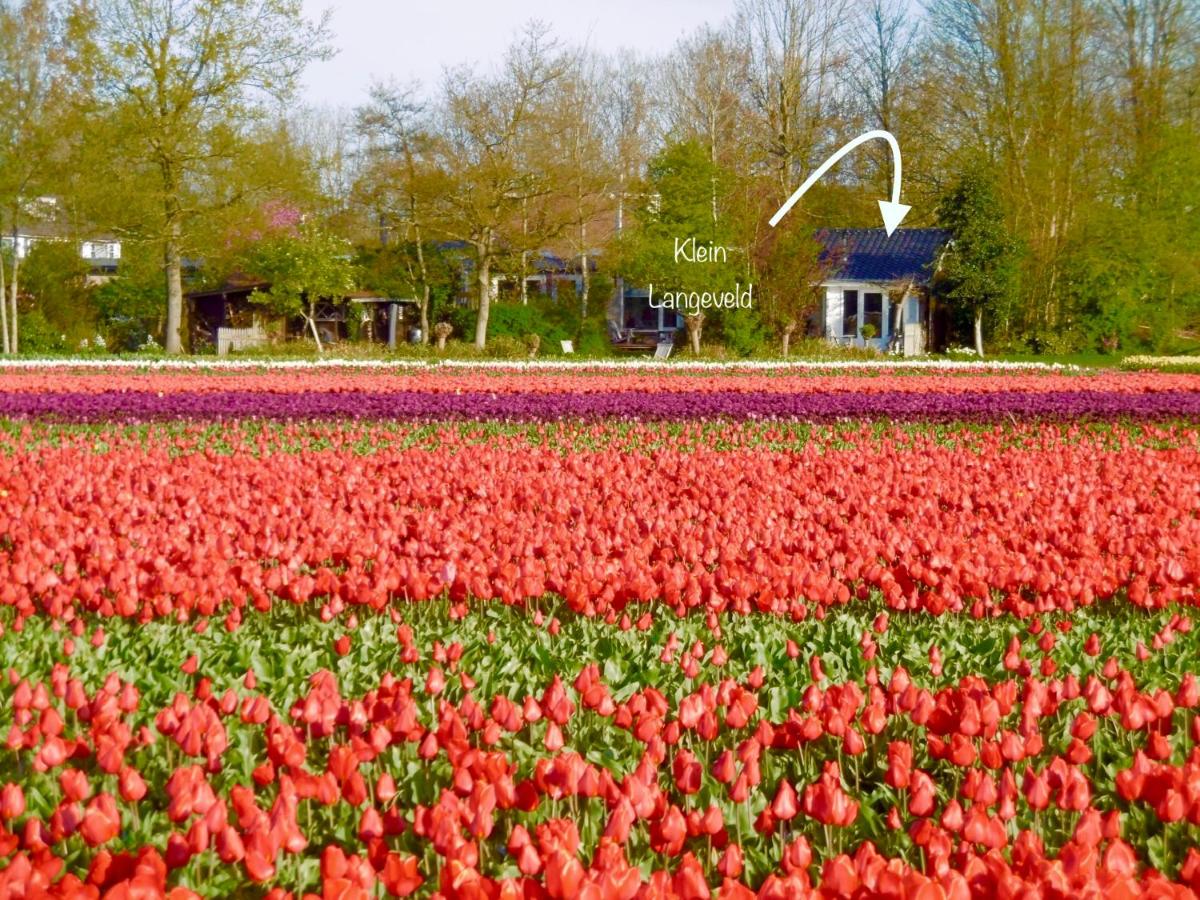 Klein Langeveld - Housity