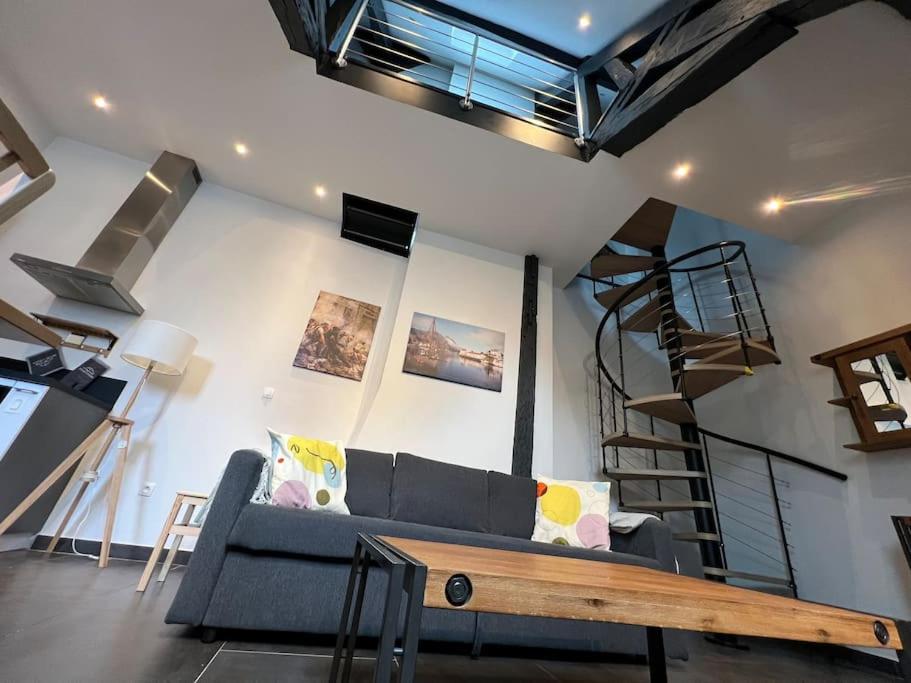 Le Jeannin, magnifique duplex 6 Prs - centre historique de Dijon - Housity