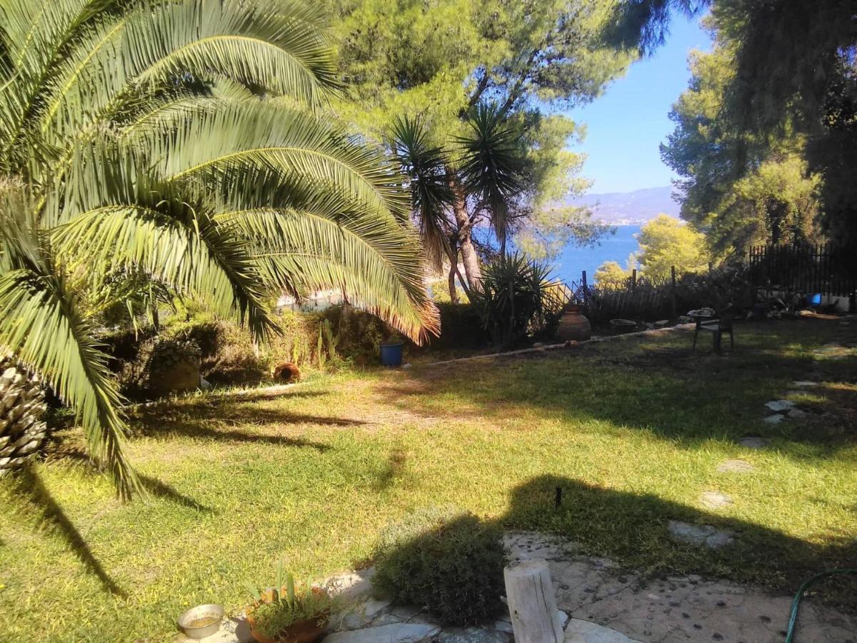 TSOUDEROS home - Housity
