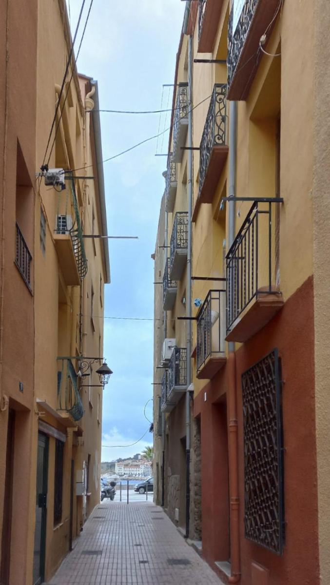 Du bonheur et du bon air à Banyuls ! - Housity