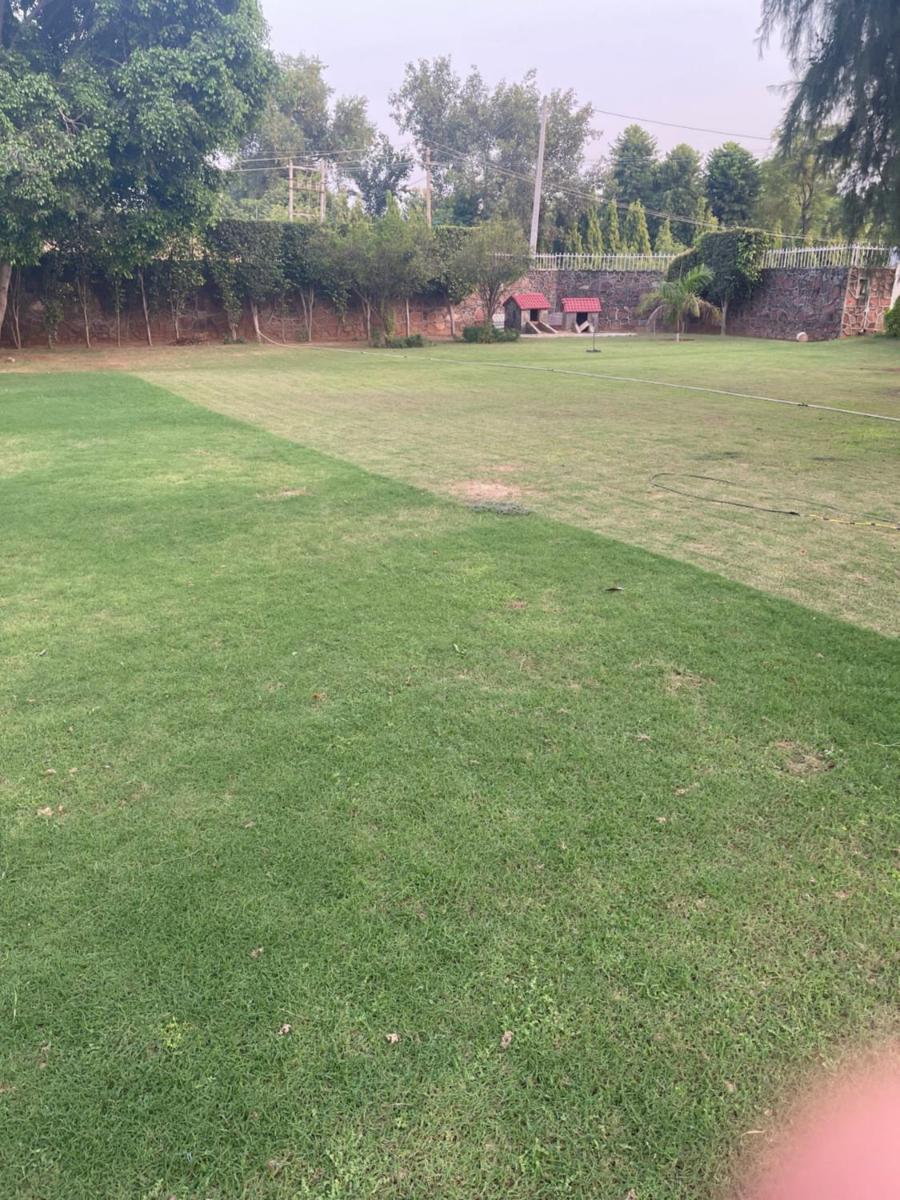 4BHK Farm House with Lawn & Terrace-Taroh Greens - Housity