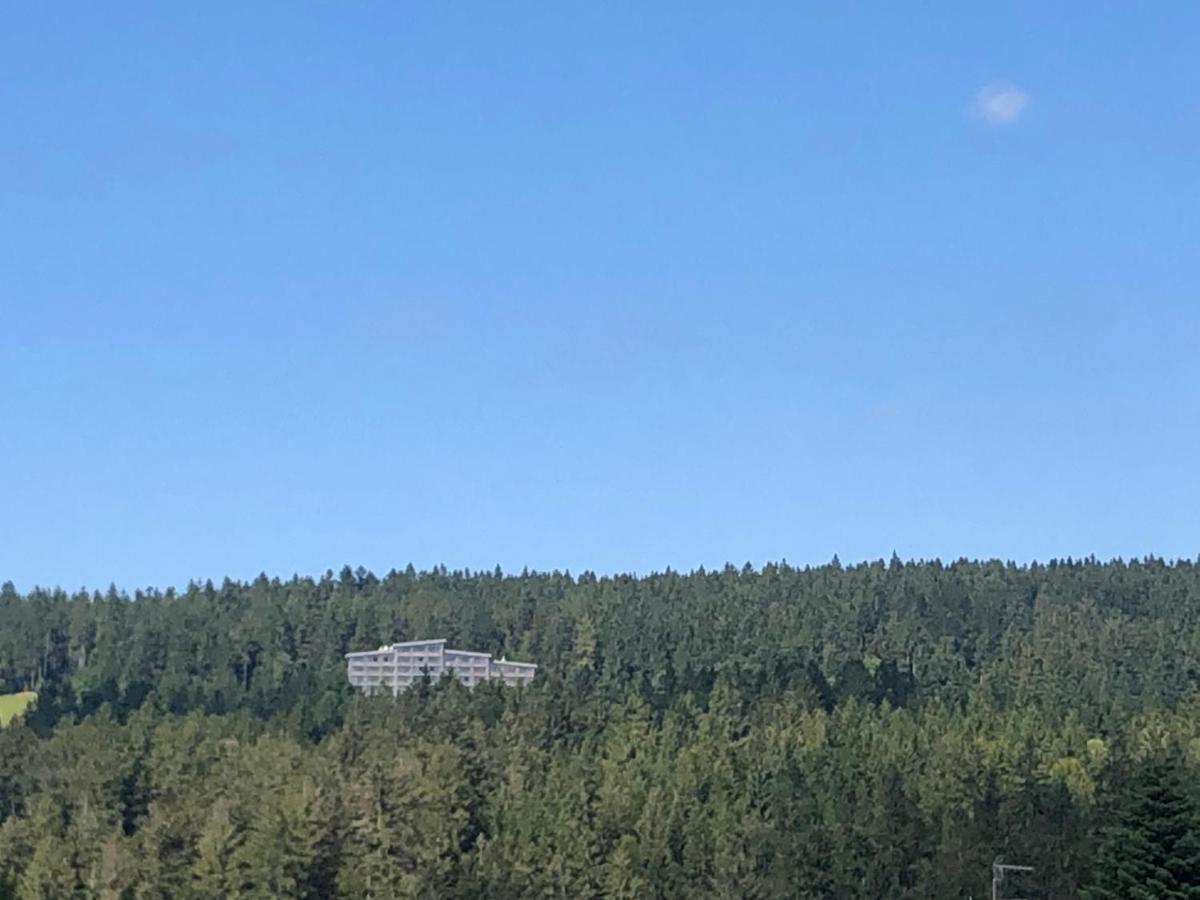Panorama Bayerwald - Hizvo