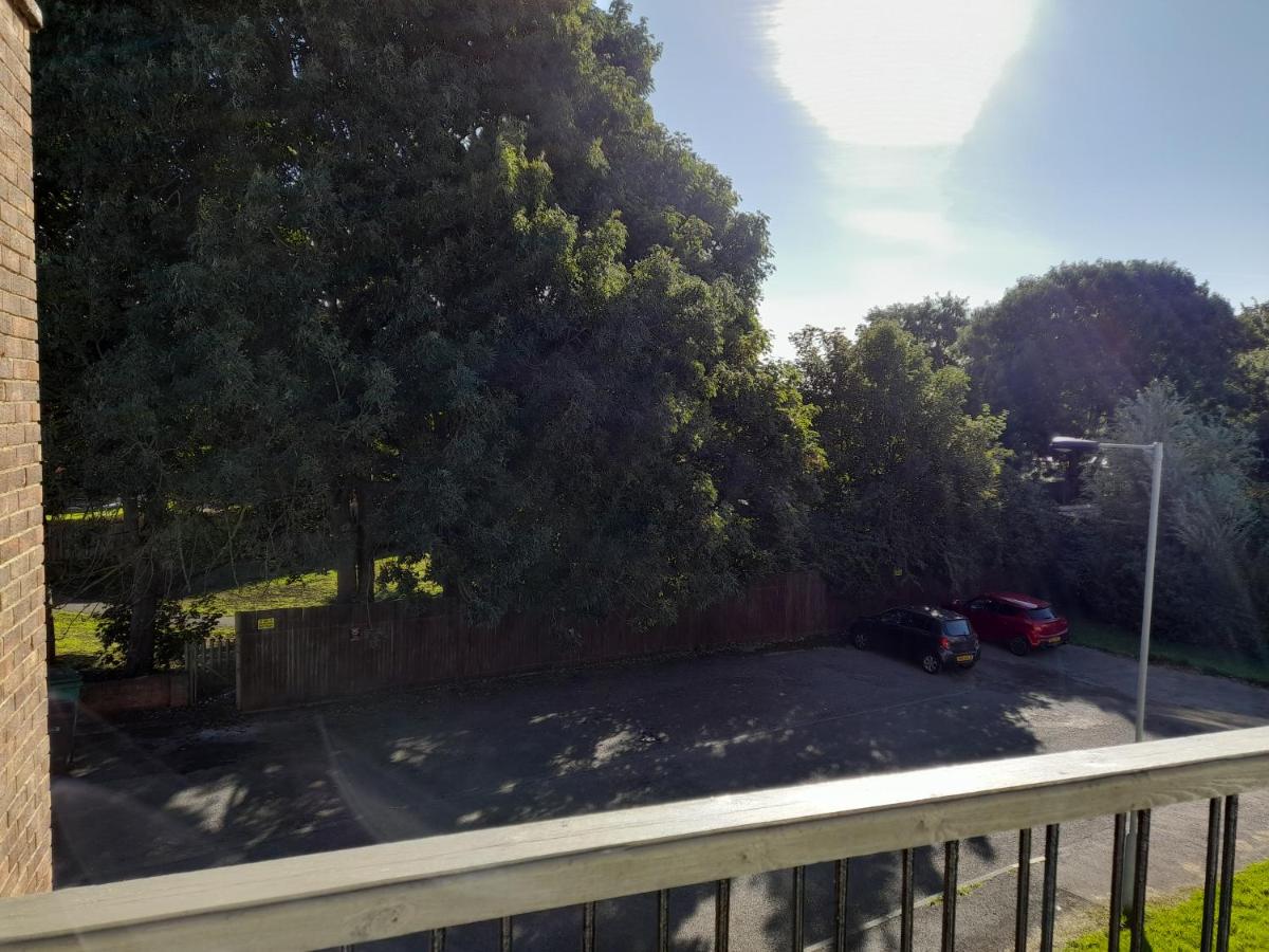 Whole Apartment with Balcony Breakfast & Parking - Housity