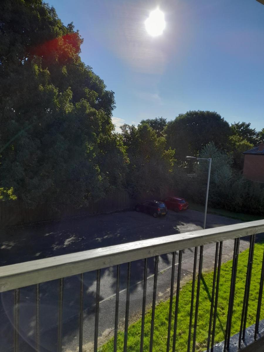 Whole Apartment with Balcony Breakfast & Parking - Housity