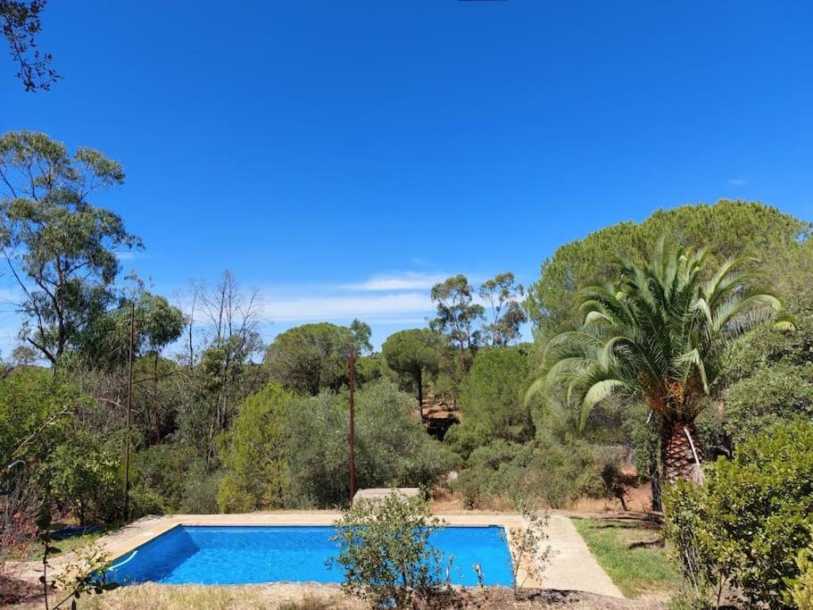 Chalet en Valverde del camino. - Housity