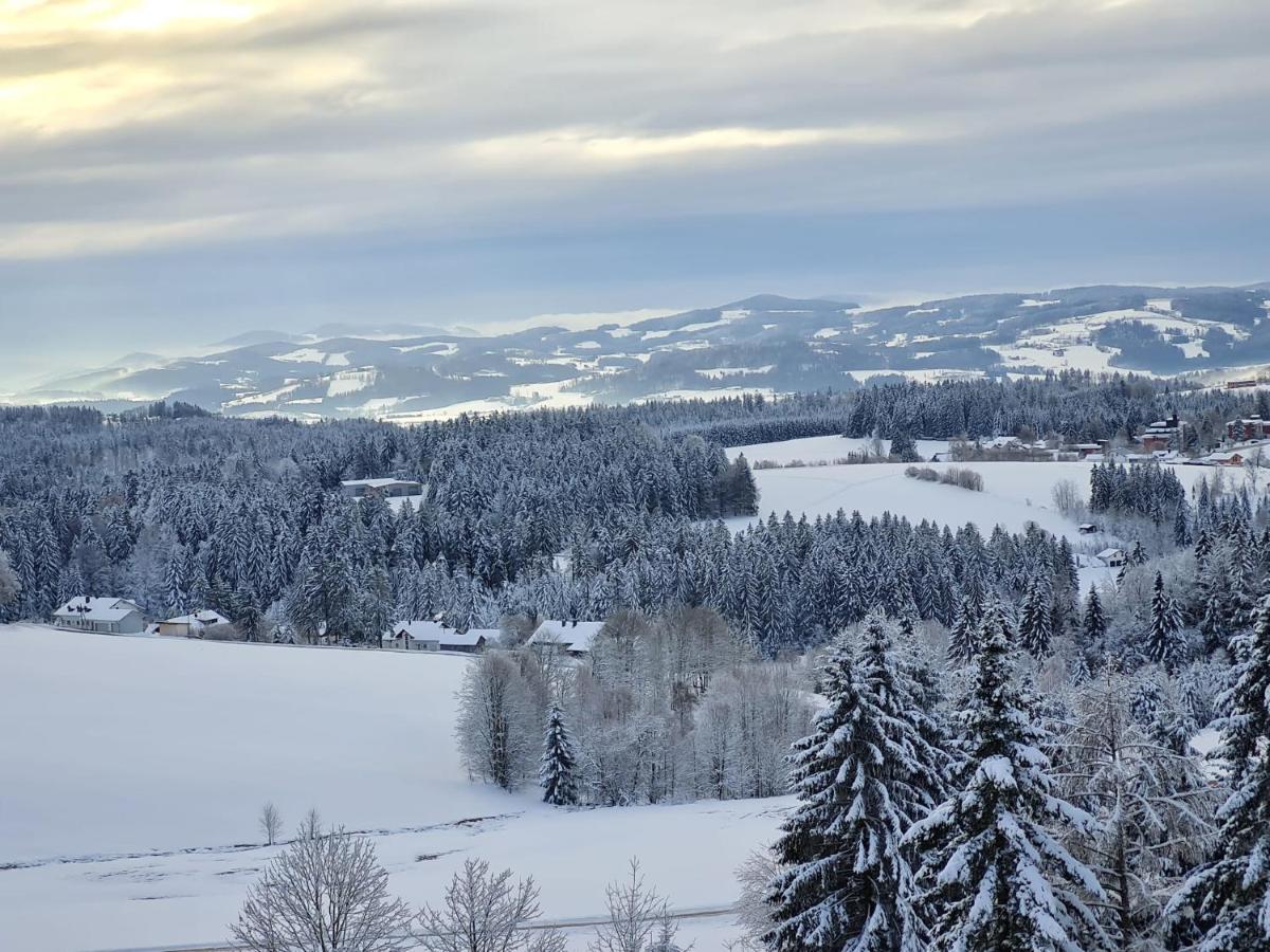 Panorama Bayerwald - Hizvo