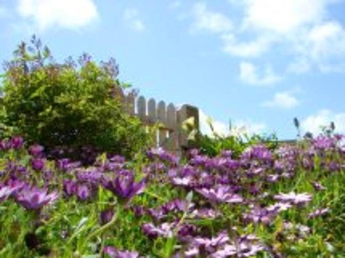 Maison de 2 chambres avec jardin clos et wifi a Plouguerneau - Housity