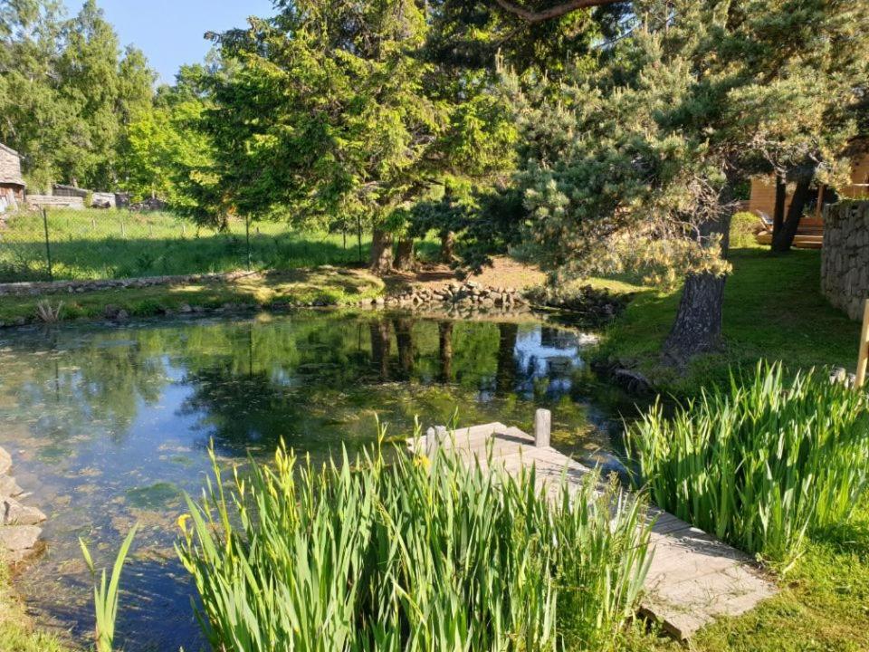 Chalet Cricri Domaine de la Mamounette - Housity