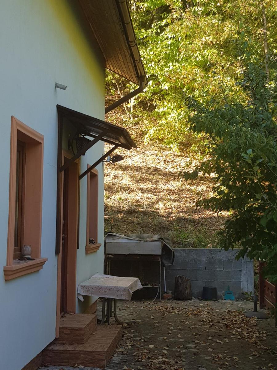 Vila de vacanta Amalia - Housity