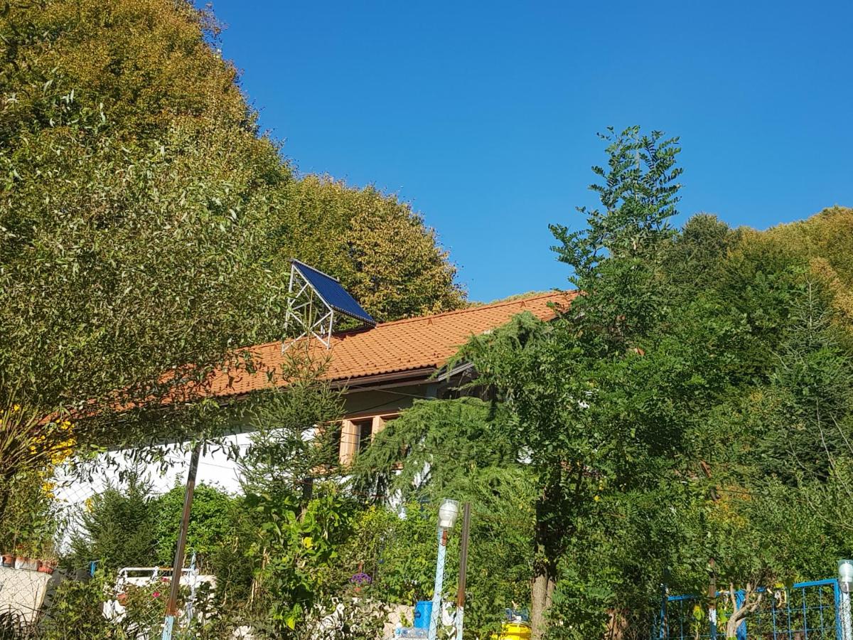 Vila de vacanta Amalia - Housity