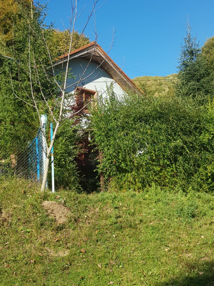 Vila de vacanta Amalia - Housity