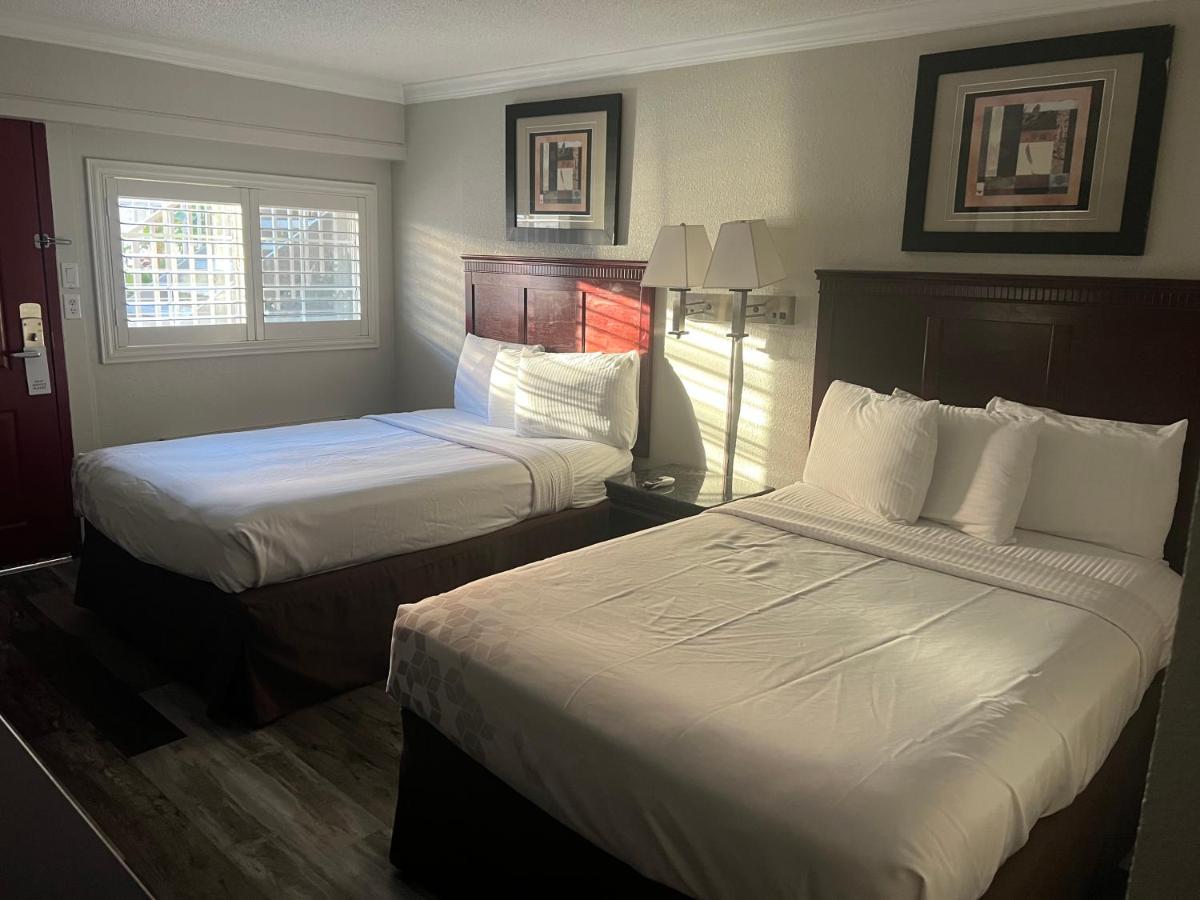 Dream Inn - Housity