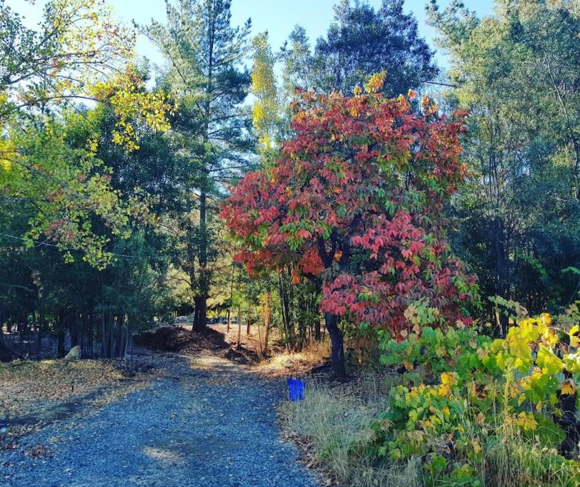 Suitetrails - Casa de campo con experiencia única