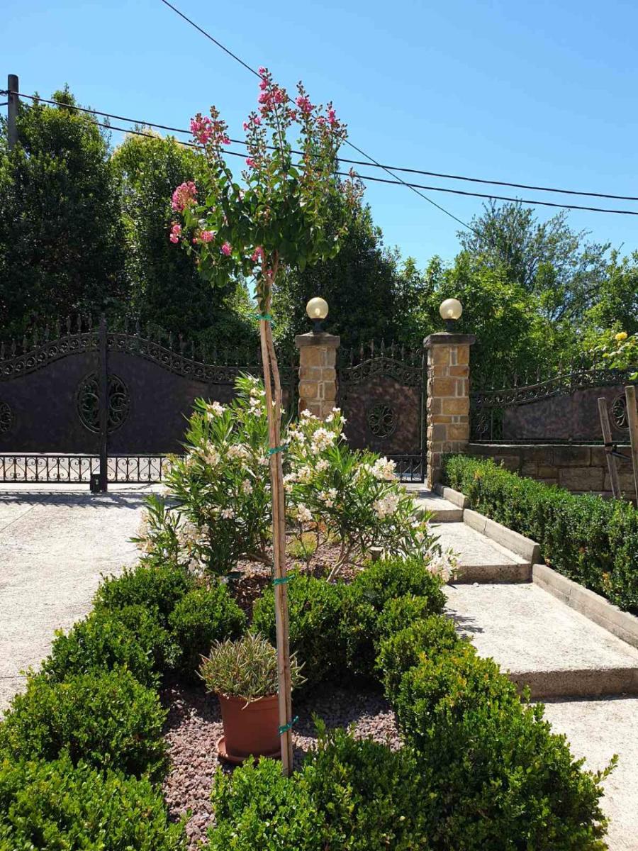 Vila Medves - Housity