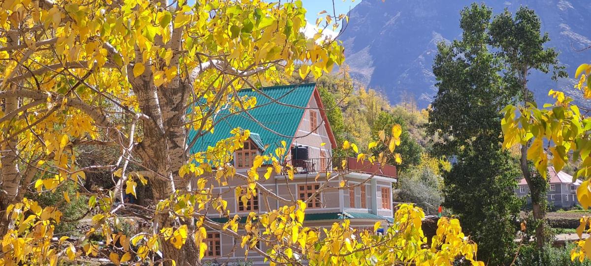 Beyond Rohtang - Housity