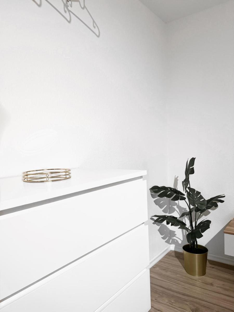 Eine schöne Wohnung im Herzen von Basel. - Housity