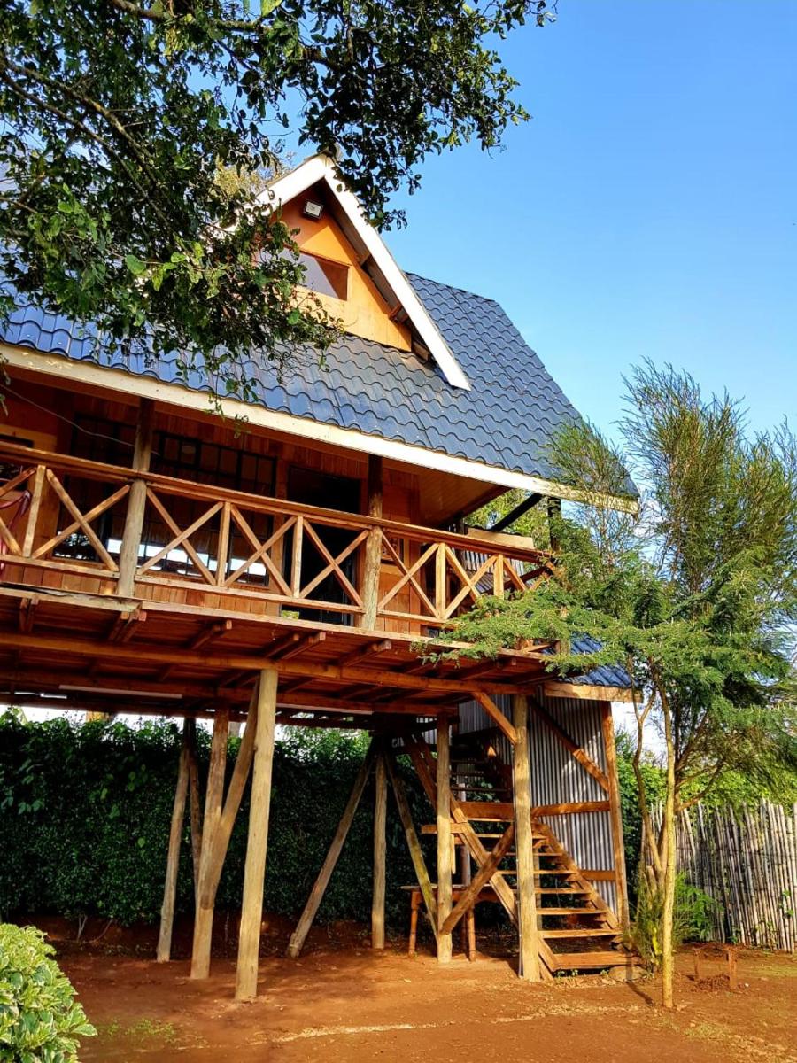 Mokima Treehouse - Housity