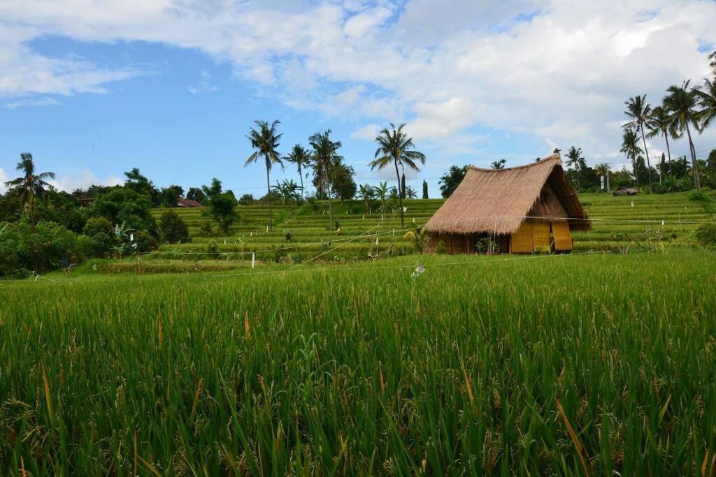 Cute Eco Cottage Near 7 Waterfalls - Housity