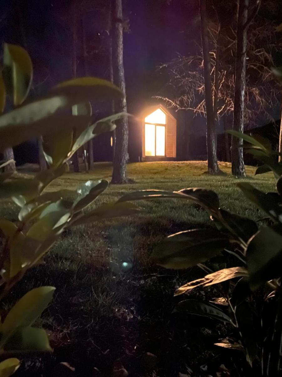 Woody Cutie - Housity