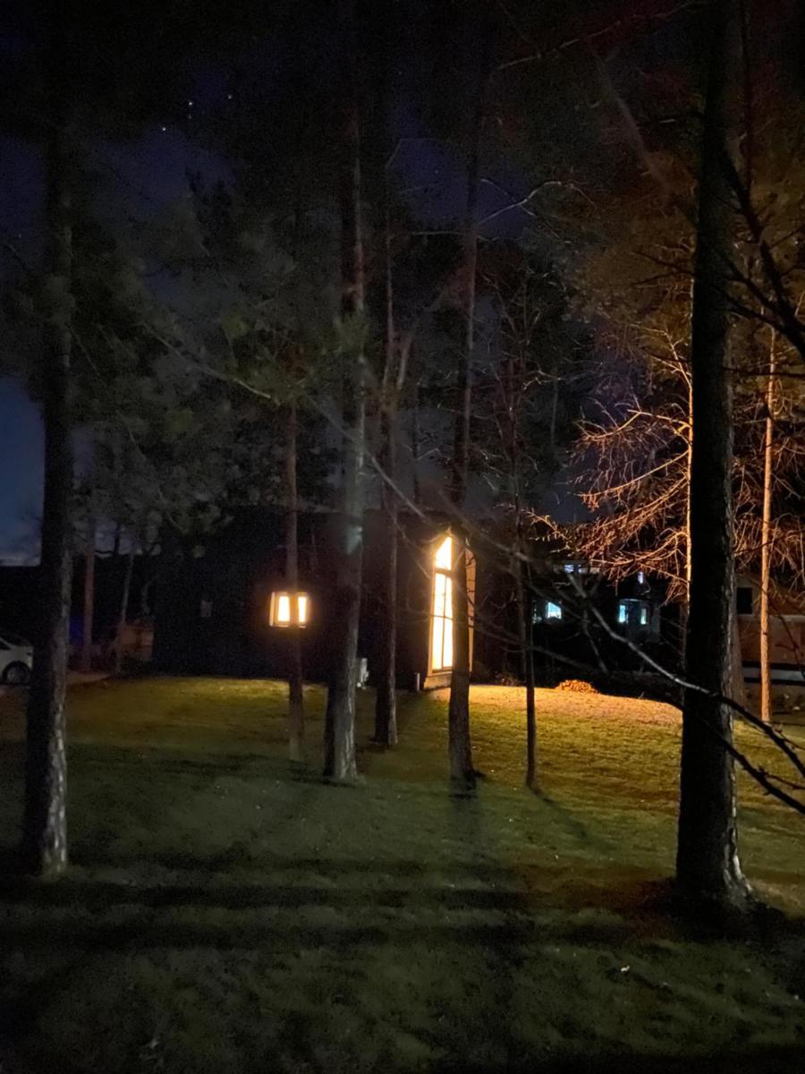 Woody Cutie - Housity