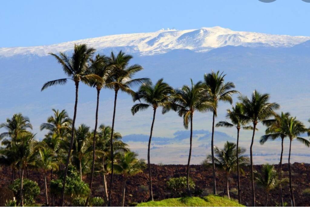 Private home near ocean & volcano- Hale kilo h?k? - Housity