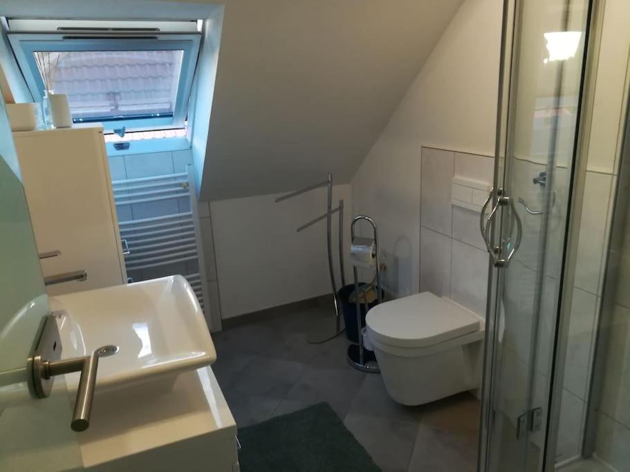 Apartment-Studio baubiologisch in Quedlinburg - Housity