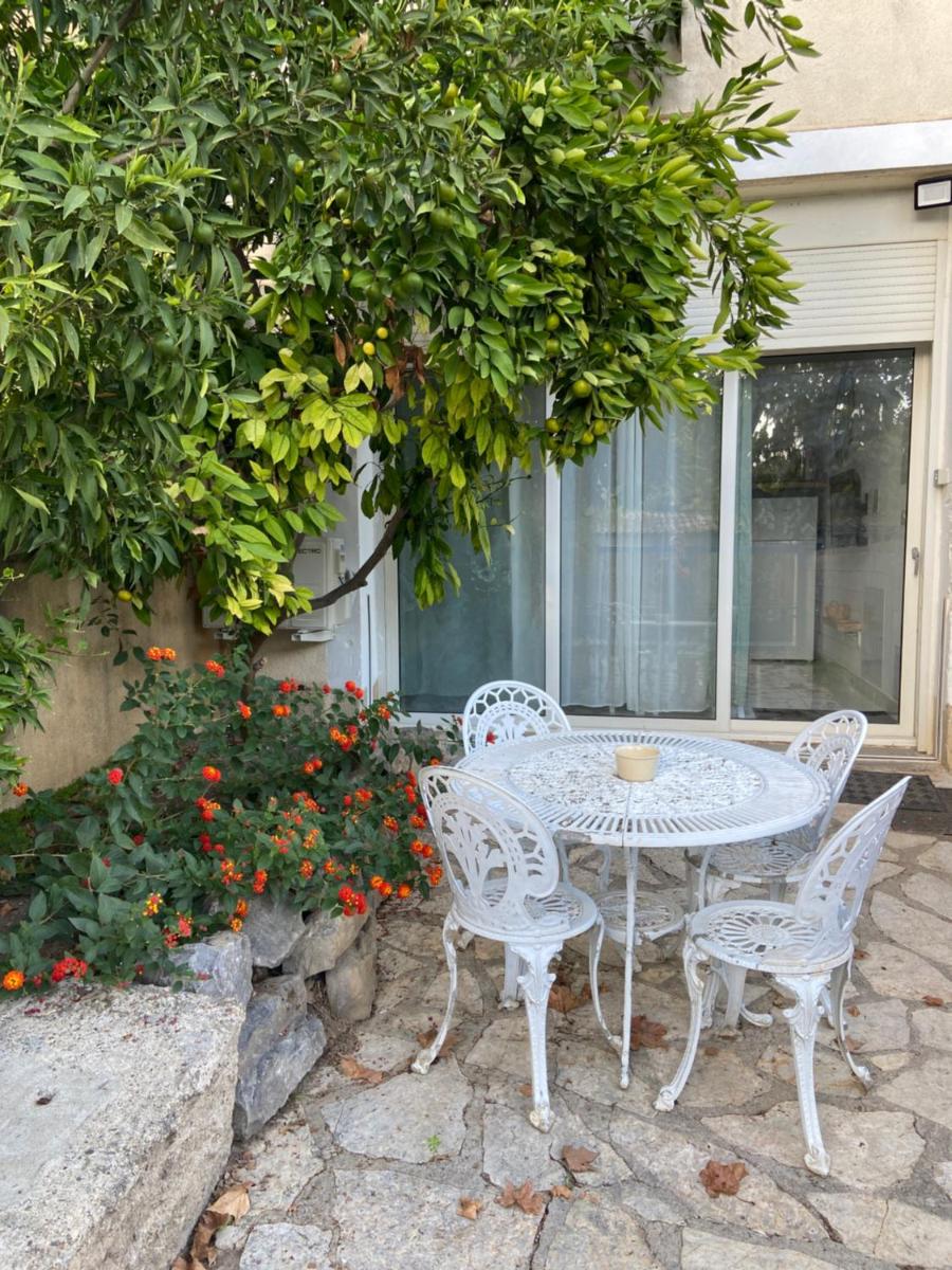 Le p'tit mandarinier - Housity