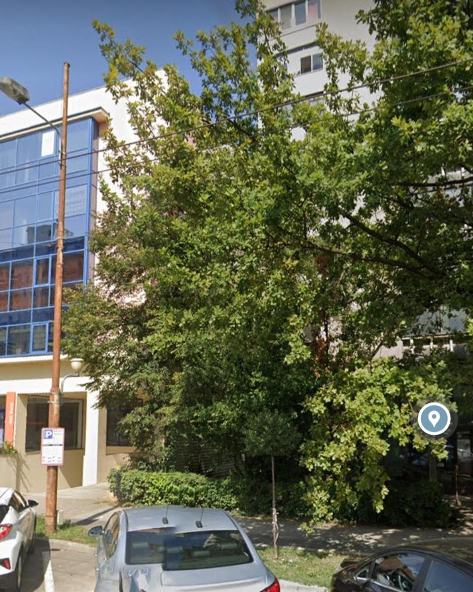 DAVID's studio - Housity