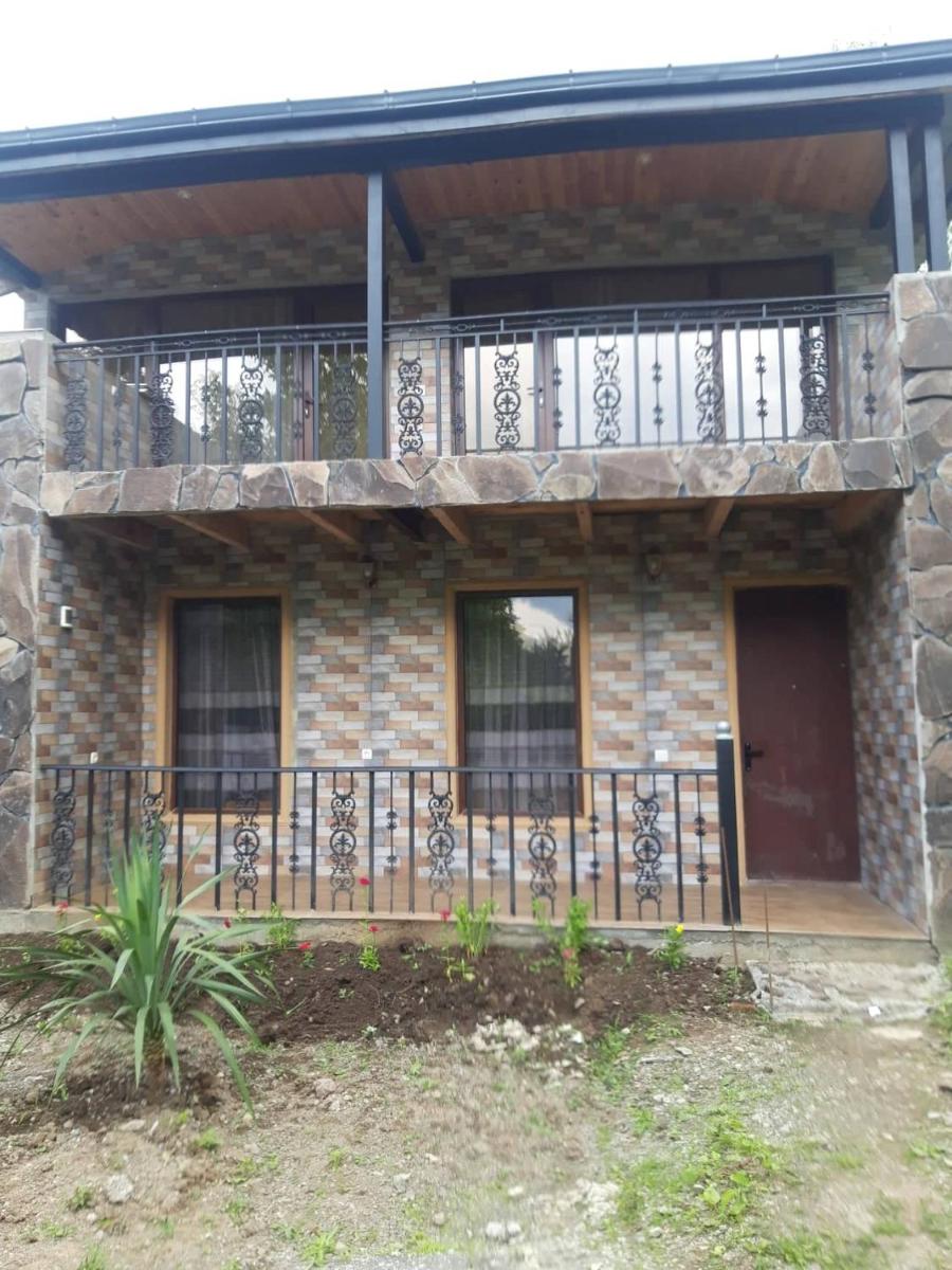 Borjomi Mzetamze - Housity