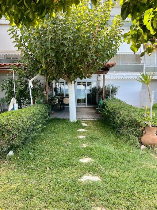 The SeaFront House - Housity