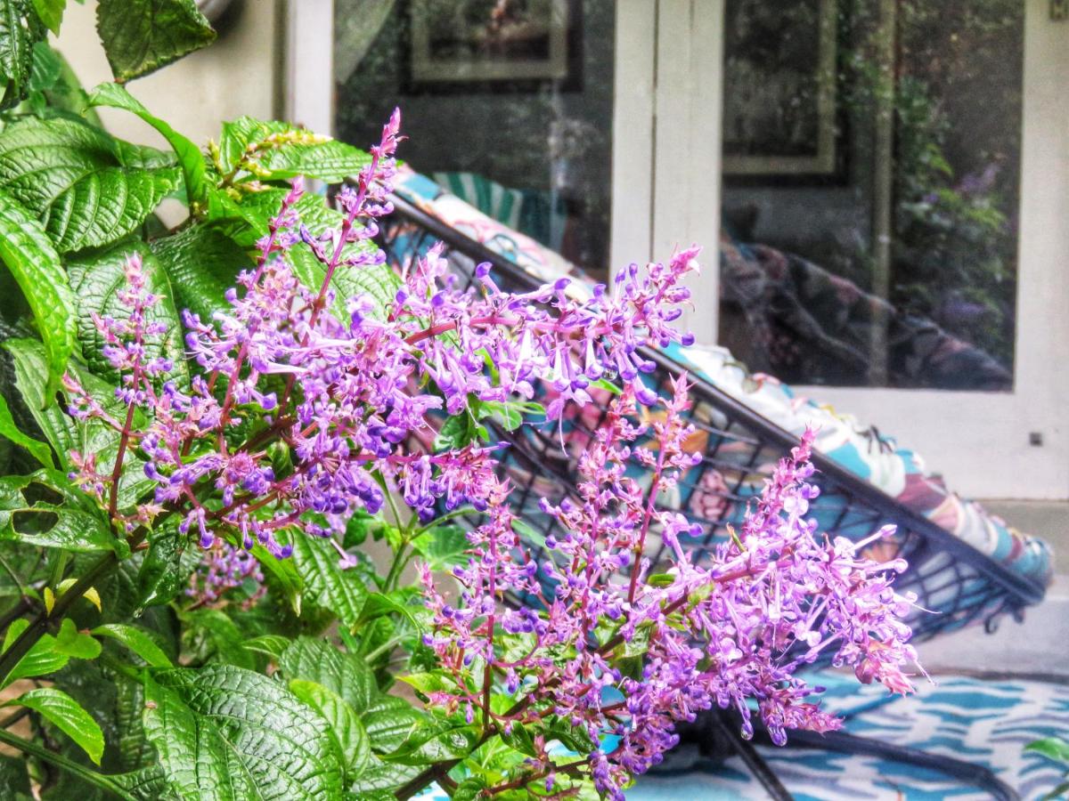 Ngwenya Garden Cottage - Housity