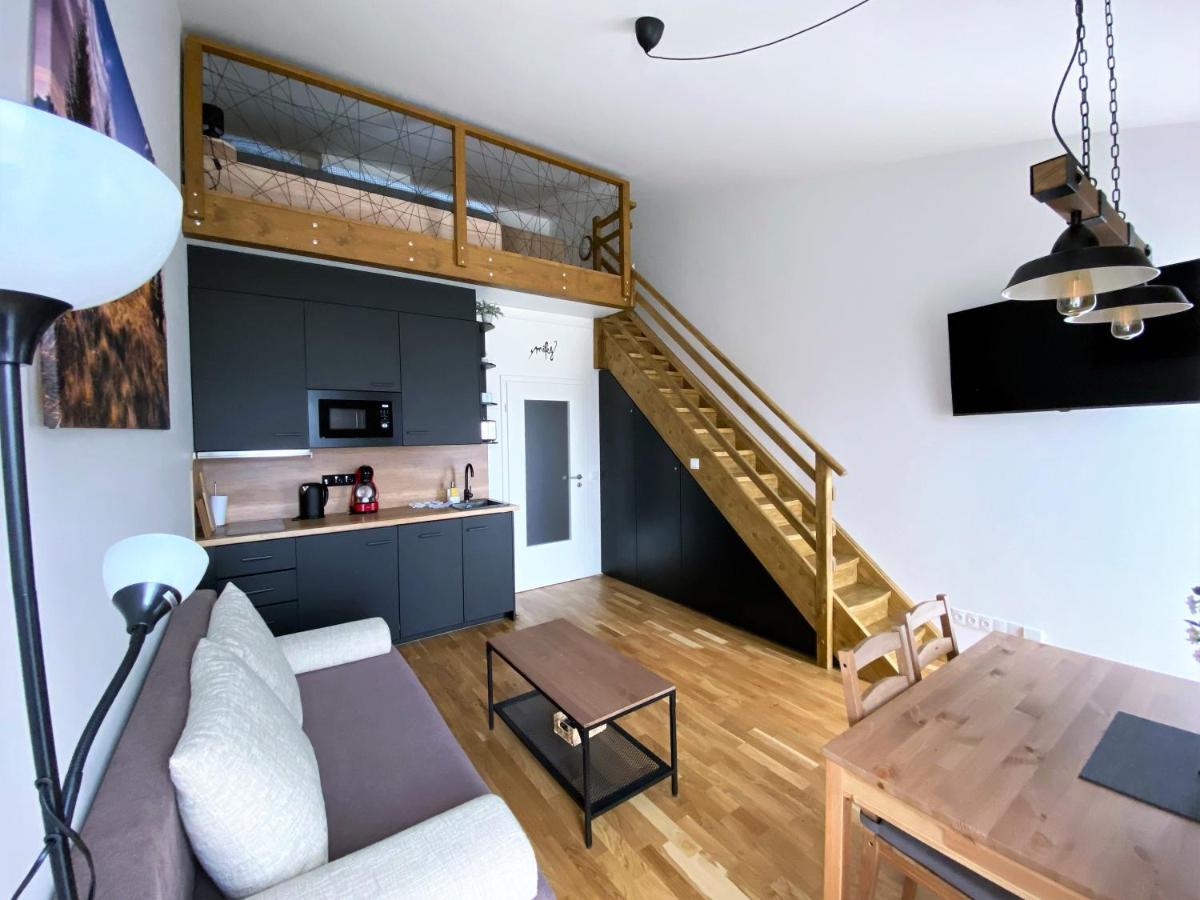 Miky Apartmán Klínovec view - Housity