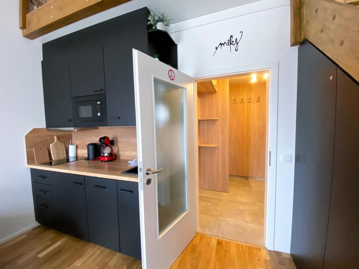 Miky Apartmán Klínovec view - Housity