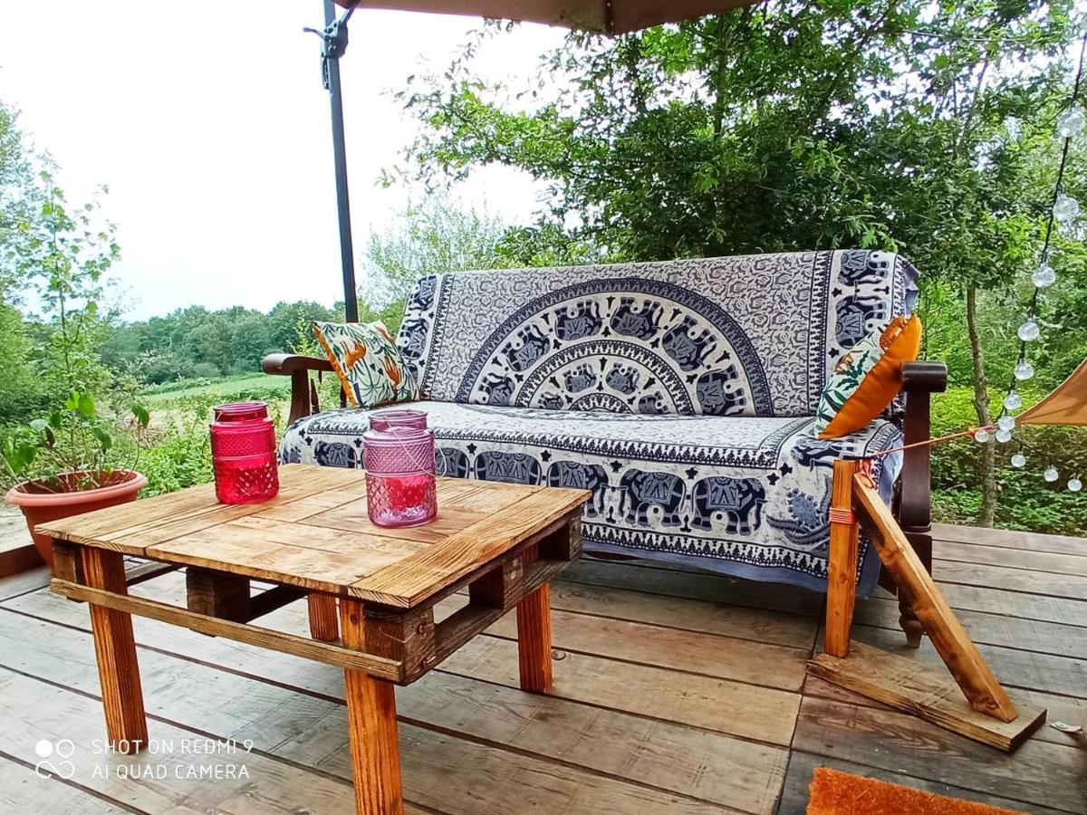 TENTE SAFARI LODGE DANS FORET LUXURIANTE - Housity