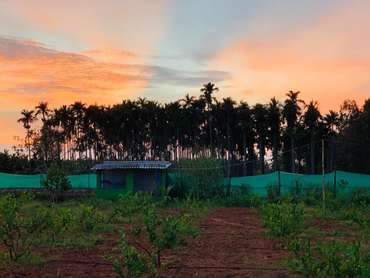 Kanasu Farms - Housity