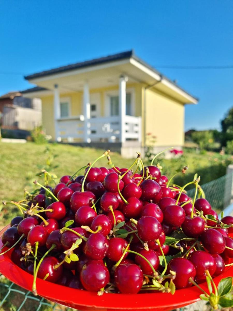 Jekina kućica za odmor - Housity