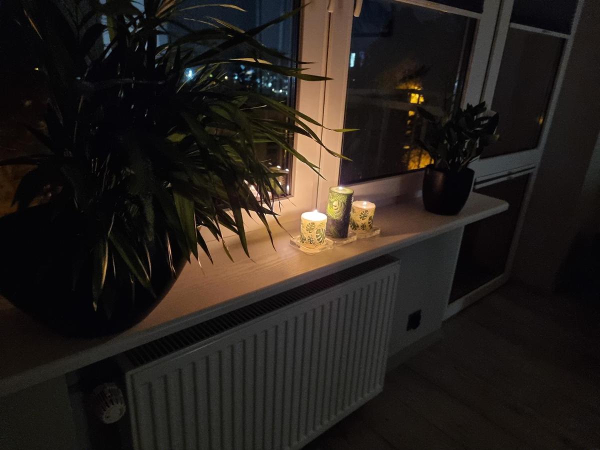 Apartament 66 - Housity