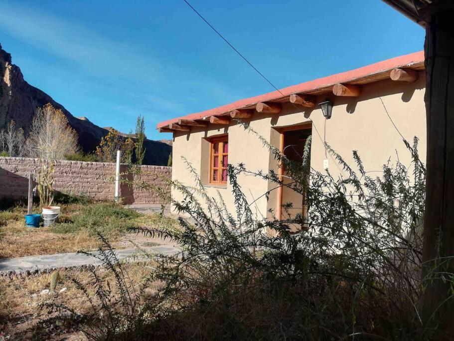 Cerro Amarillo, Cabaña de Juella - Housity