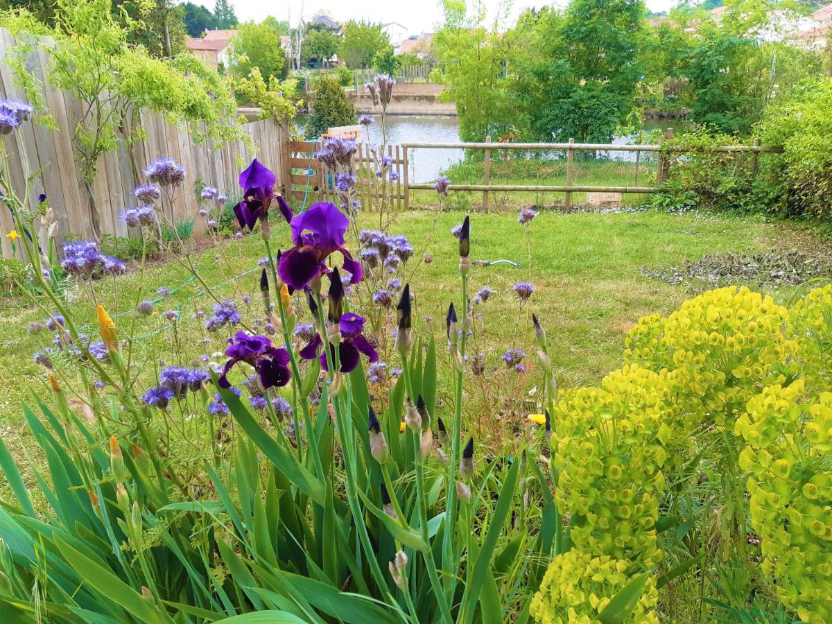 Le Gîte du Puy et son jardin au bord de l'eau - Housity