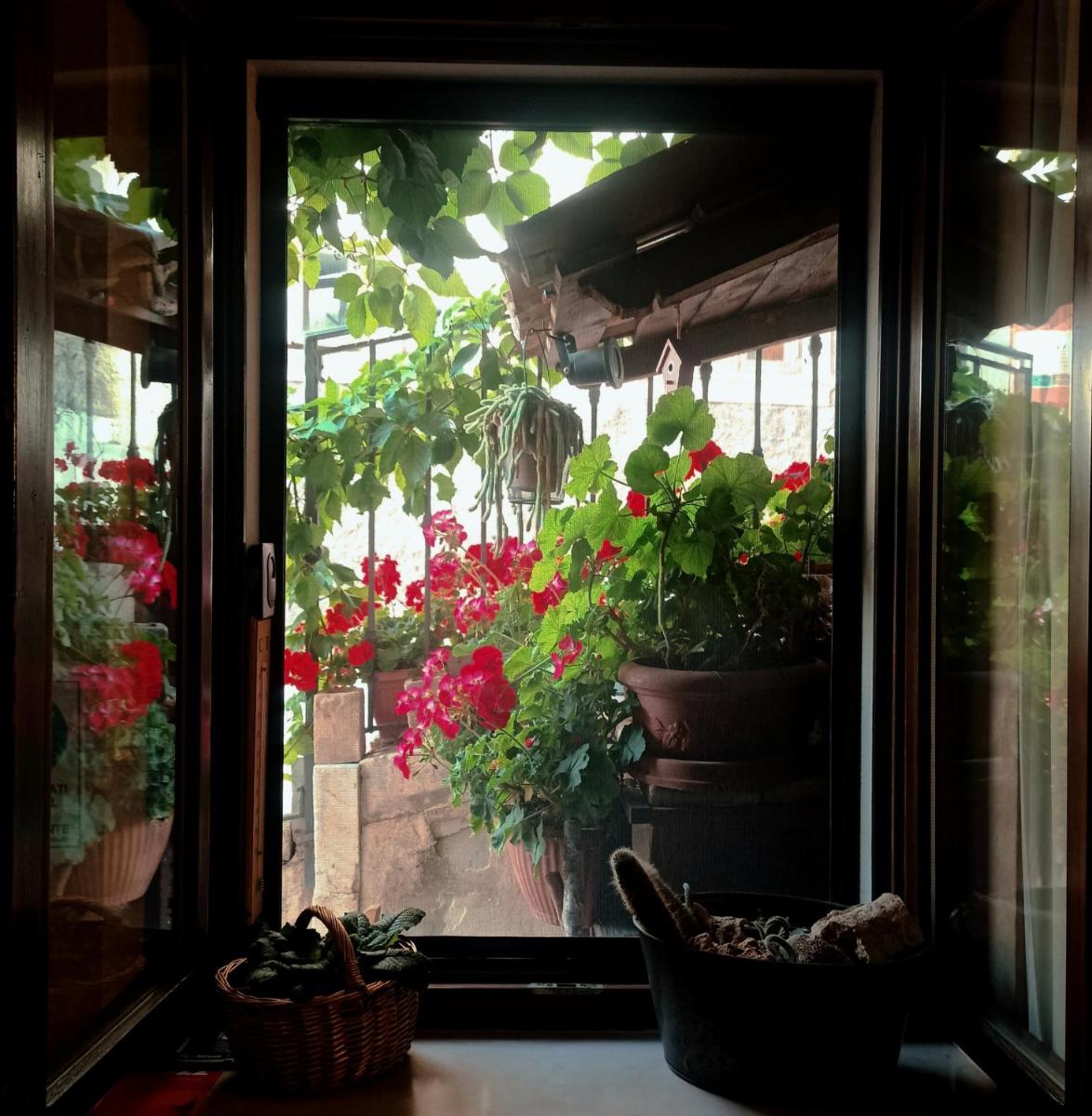 Garnì B&B La Rua-Pescocostanzo - Housity