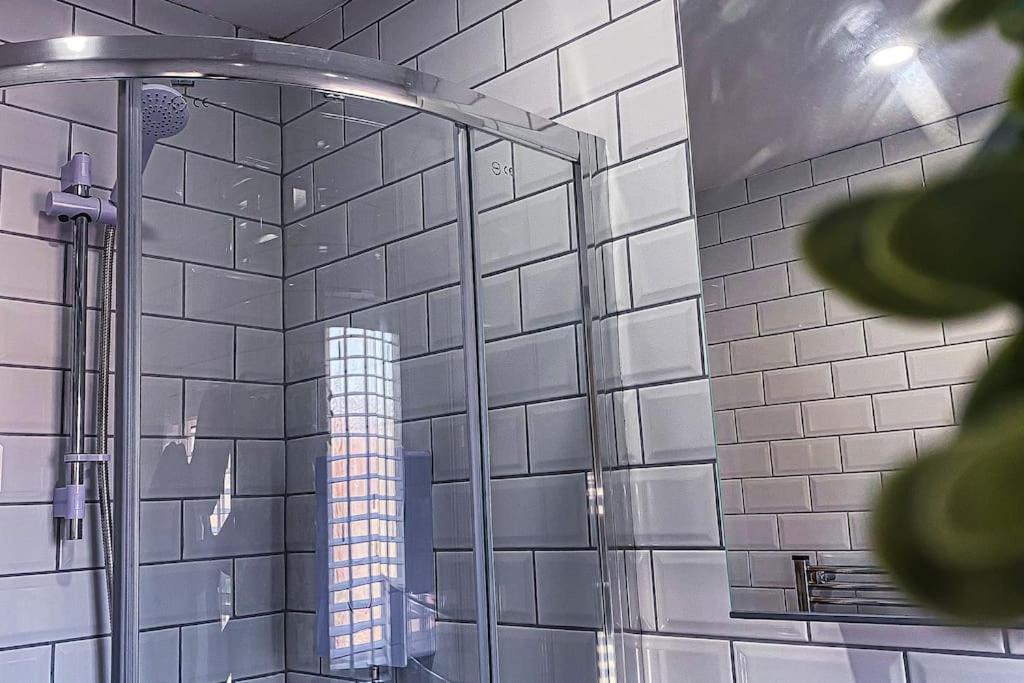 Velveteen by The V Group - Housity