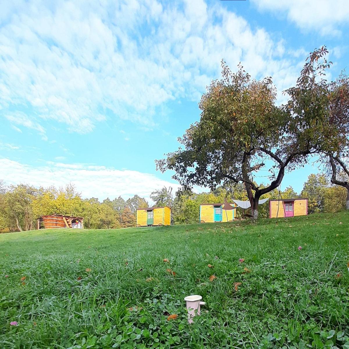 Poiana Stelelor - Housity