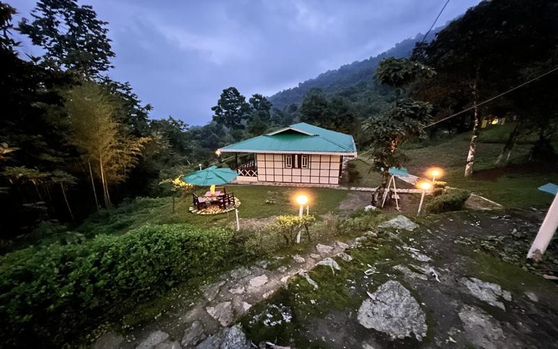 The Nettle and Fern Farmstay - Housity