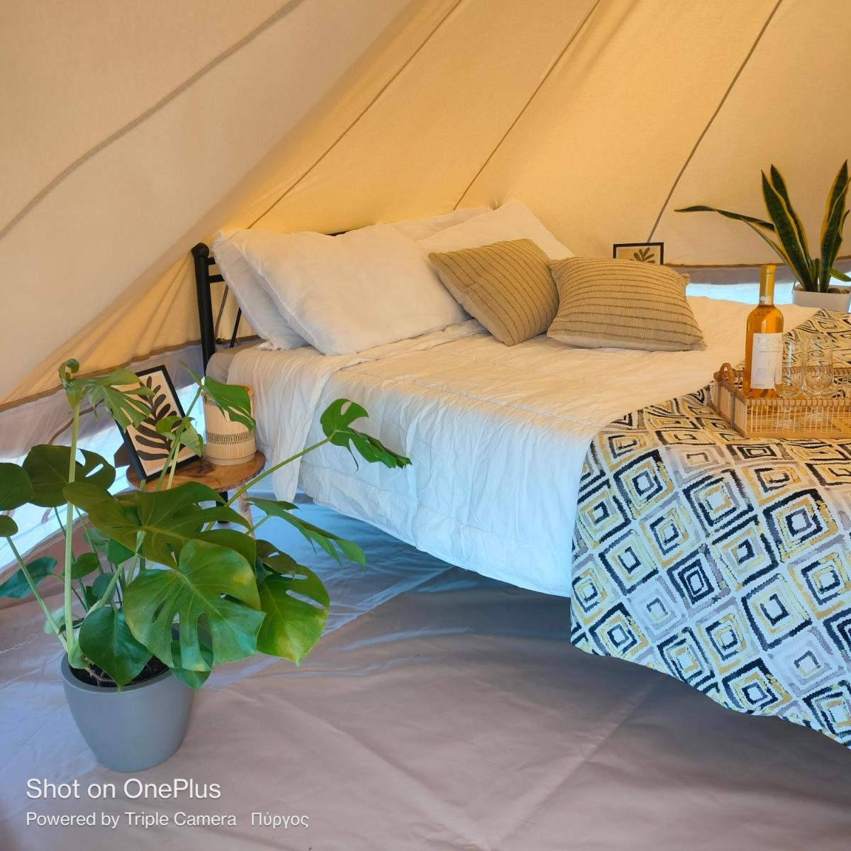 Olympia Sunset Glamp - Housity