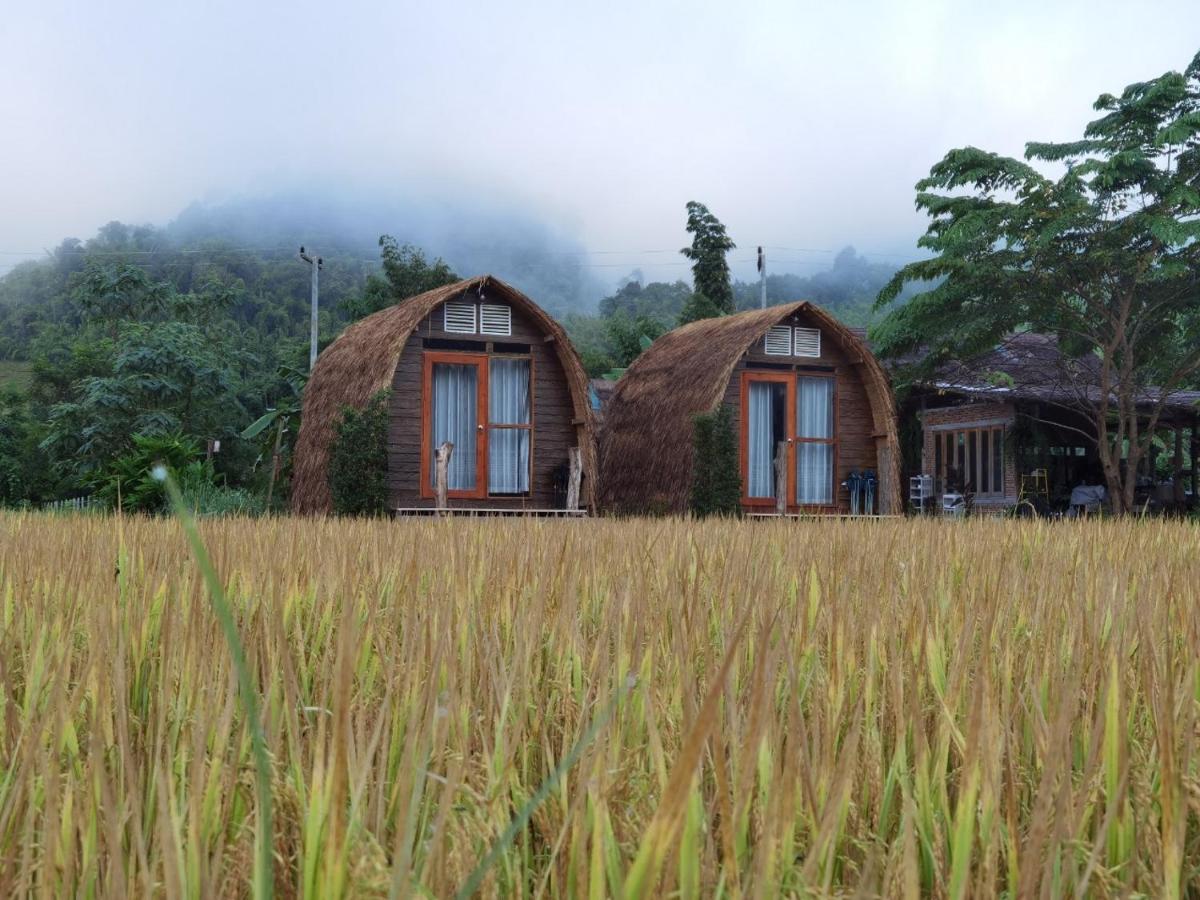 Sapabokluea farmstay amp crafts - Housity